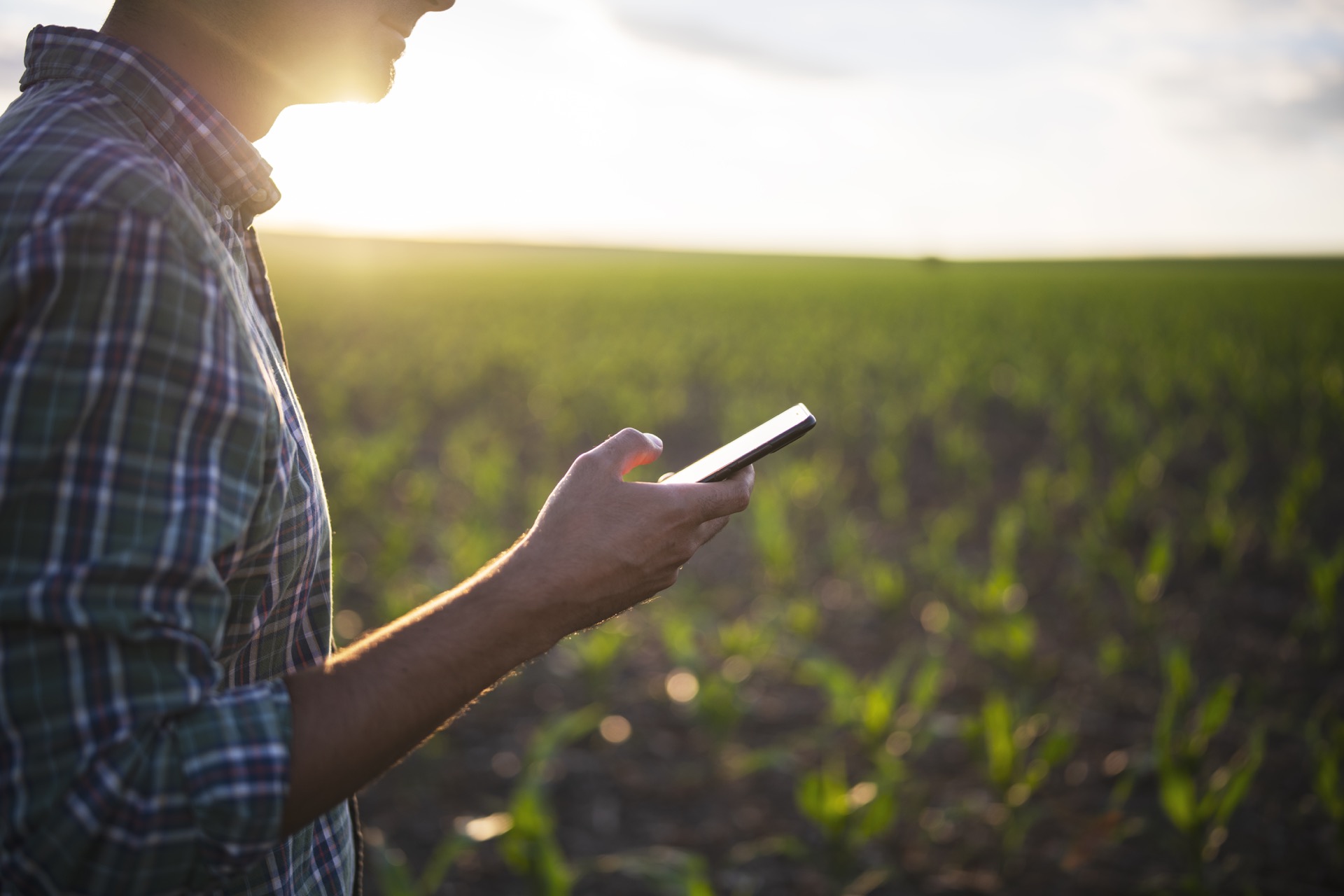 <span class="translation_missing" title="translation missing: en.pages.home.agricultural_work_alt">Agricultural Work Alt</span>